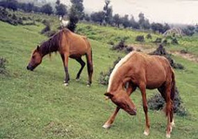 ۳۵۴۳۰۴۰_۳۶۲