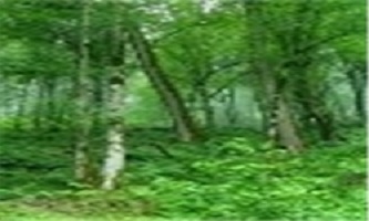 ۱۳۹۳۱۲۱۳۰۰۰۴۴۷_PhotoA