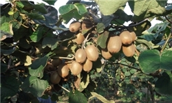 ۱۳۹۱۰۹۲۶۰۰۰۱۱۴_PhotoA