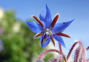 ۱۳۹۶۰۱۳۱۱۰۱۲۳۳۹۱۲۱۰۵۸۲۵۵۴