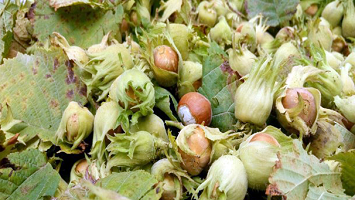 ۱۱۵۸۴۵۹_۹۰۹