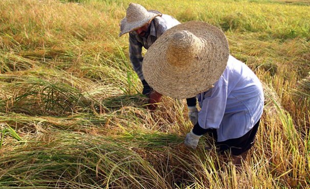 ۱۱۷۳۱۸۸_۶۵۶