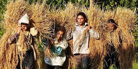 ۱۳۹۶۰۵۲۳۰۰۰۱۰۸_Test_PhotoJ