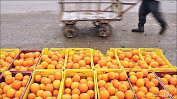 ۱۳۹۶۰۷۳۰_۲۱۳۳۵۷_۱۰۵_پرتقال ۲