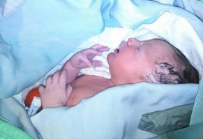 ۱۴۷۴۴۲۴_۹۷۸