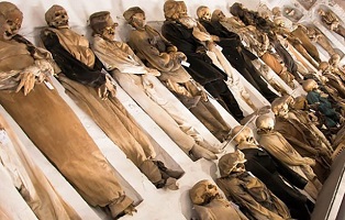 ۶۸۶۶۳۵۱_۵۱۷