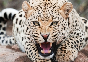 ۷۰۲۵۳۷۲_۱۴۴