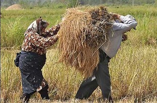 ۱۳۹۶۰۹۱۶۰۰۰۰۲۸_Test_PhotoH