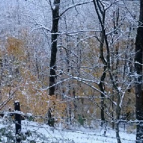 ۱۷۸۵۹۲۴_۳۹۱