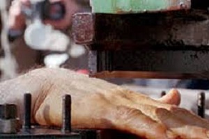 The-reaction-of-a-representative-to-cut-off-a-carriage-in-Mashhad