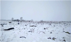 ۱۳۹۶۱۱۲۳۰۰۰۱۳۵_PhotoA