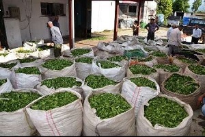 ۱۸۵۰۶۴۶_۲۱۳