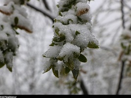 ۱۳۹۷۰۱۲۷۱۰۳۱۴۲۴۹۵۱۳۸۶۱۵۰۴