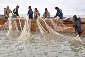 ۲۰۵۹۵۰۷_۹۰۰