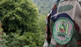 photo_2025-11-08_06-03-10