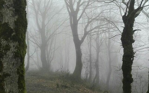 ۵۵۵۹۵۰۳۴_۹۴۵